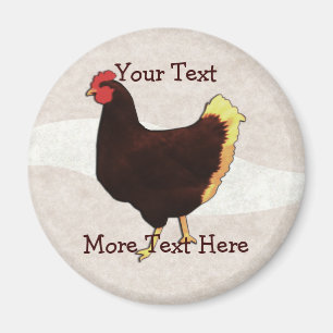 Íman Ímã da galinha