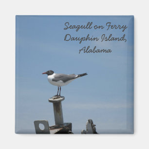 Íman Ímã da ilha do Dauphin, Alabama