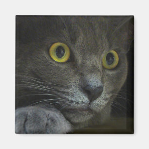 Íman Ímã da intensidade