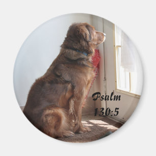 Íman Ímã da janela do cão do 130:5 do salmo