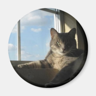 Íman ímã da janela stella