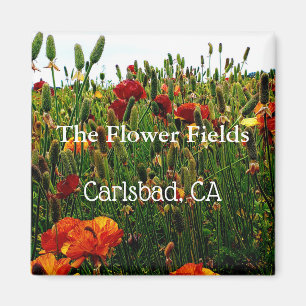 Íman Ímã da lembrança, campos de flor, Carlsbad, CA