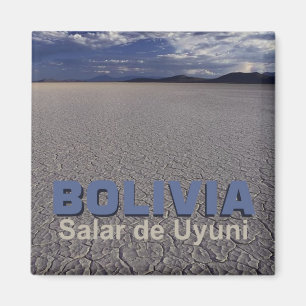 Íman Ímã da lembrança do viagem de Salar de Uyuni