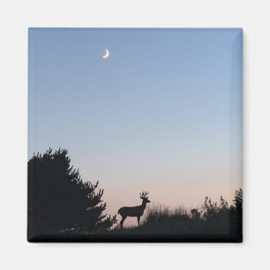 Íman Ímã da mágica do Moonrise