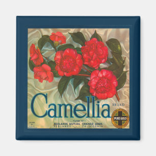 Íman Ímã da marca da camélia do vintage