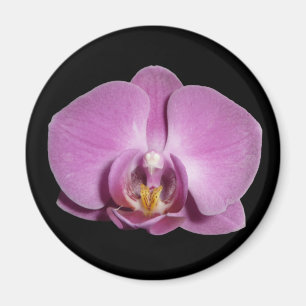 Íman ímã da orquídea