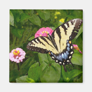 Íman Ímã da pintura da borboleta