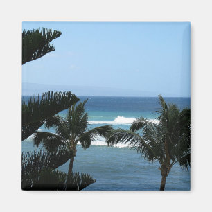 Íman Ímã da praia de Maui