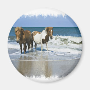 Íman Ímã da praia do cavalo