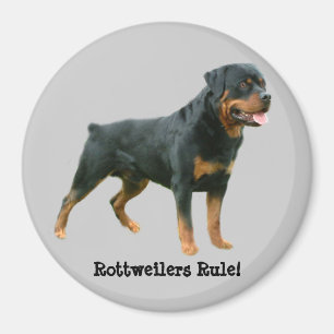 Íman Ímã da regra de Rottweilers