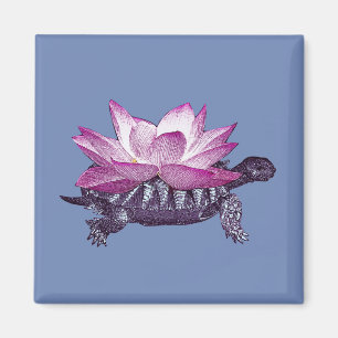 Íman Ímã da tartaruga de Lotus