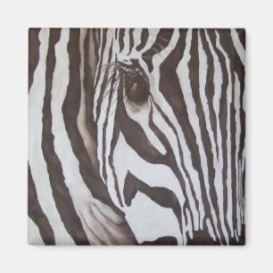 Íman Ímã da zebra