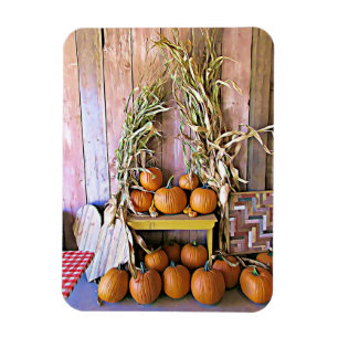 Íman Ímã das abóboras do Dia das Bruxas das bênçã