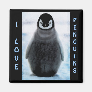 Íman Ímã das belas artes do Pinguim-amante do bebê d