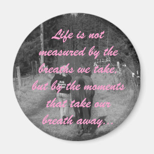 Íman Ímã das citações