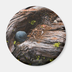 Íman Ímã das correntes