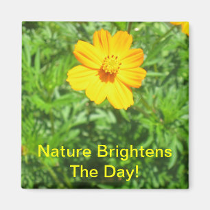 Íman Ímã das naturezas