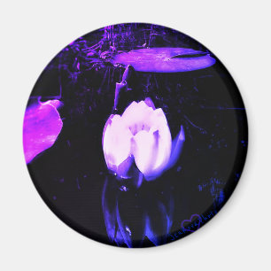Íman ÍMÃ de 1PURPLE LOTUS