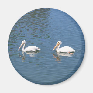 Íman ímã de 2 pelicanos brancos