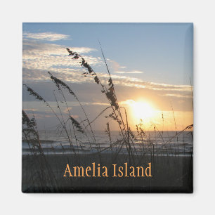 Íman Ímã de Amelia Island