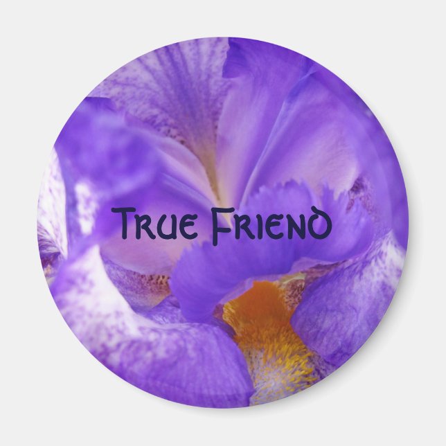 Íman Ímã de amigo verdadeiro Flor de íris roxa presente (Frente)
