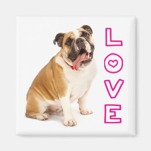 Íman Ímã de Amor de Cachorrinho Bulldog Inglês