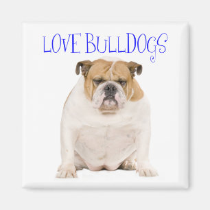 Íman Ímã de Amor de Cachorrinho Bulldog Inglês