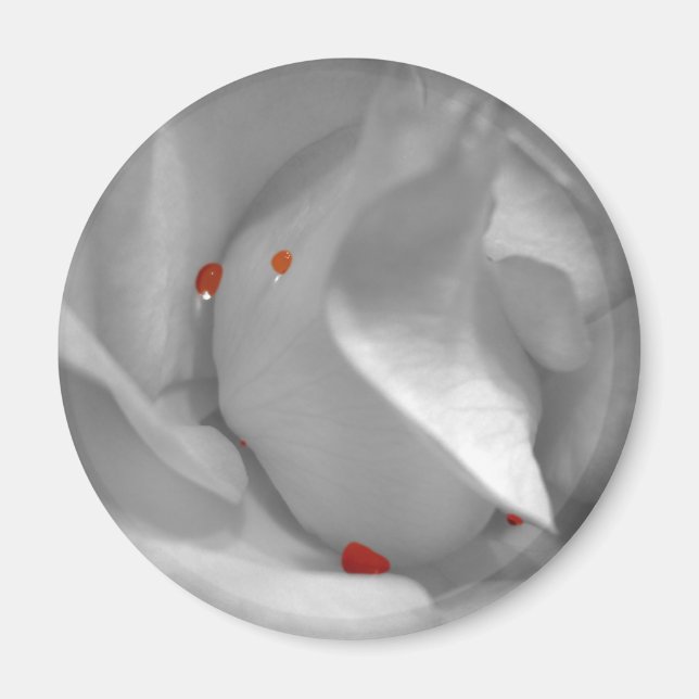 Íman Ímã de Aquarela Eólia (Frente)