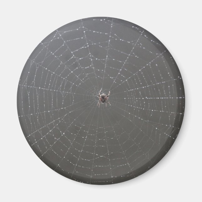 Íman Ímã de Aranha (Frente)