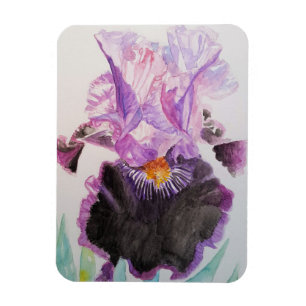 Íman Ímã de arte de íris roxo Flores Florais Aquarela