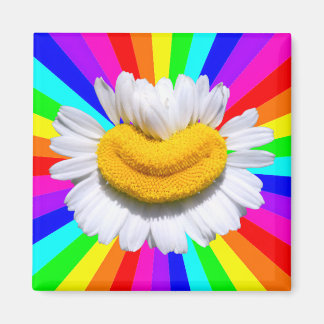 Íman Ímã de Aura de Chuva de Cores Camomila Sorridente