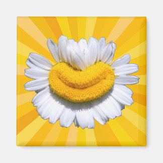 Íman Ímã de Aura de Sorriso Sol da Camomila Dourada Fel