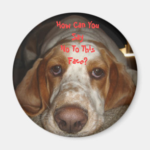Íman Ímã de Basset Hound