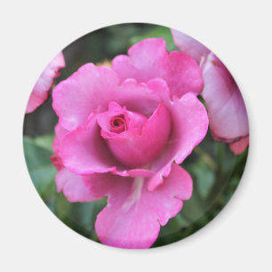 Íman Ímã de Beijo de uma Rosa