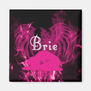 Íman Ímã de Bennet do brie