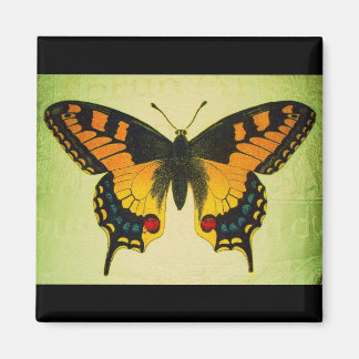 Íman ímã de borboleta