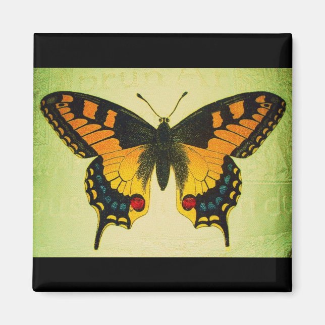 Íman ímã de borboleta (Frente)