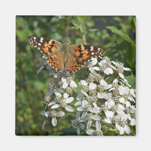 Íman Ímã de Borboleta Laranja Bonita e Flores Brancas