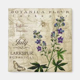 Íman Ímã de Botanica julho