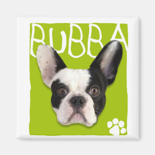 Íman Ímã de Bubba