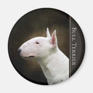 Íman Ímã de bull terrier