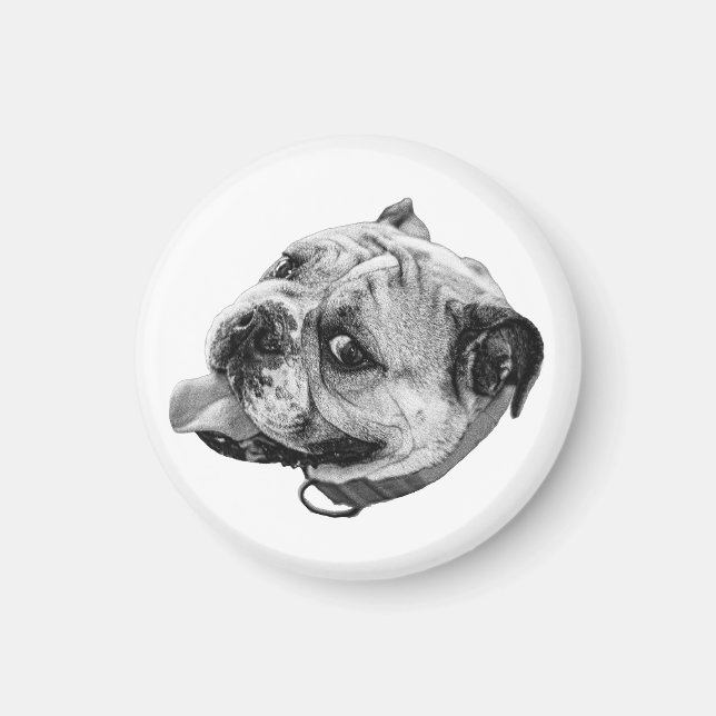 Íman Ímã de Bulldog Gentil (Frente)