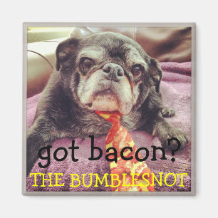 Íman Ímã de Bumblesnot:  bacon obtido?