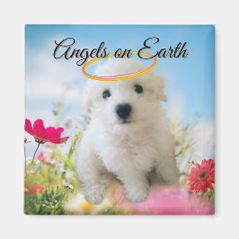 Íman Ímã de Cachorrinho Anjo