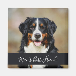 Íman Ímã de Cachorro com Foto Personalizada