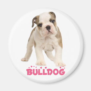 Íman Ímã de Cachorro de Estimação Bulldog Inglês Branco