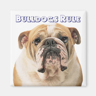 Íman Ímã de Cachorro Filhote Bulldog Inglês