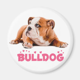 Íman Ímã de Cachorro Inglês Bulldog com Coração Rosa de