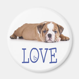 Íman Ímã de Cachorro Inglês Bulldog Filhote Amor