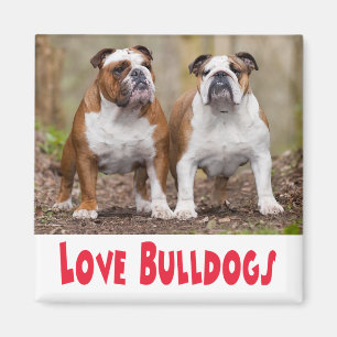 Íman Ímã de Cachorro Inglês Bulldog Filhote Amor